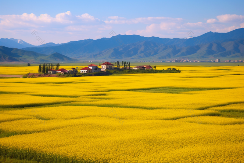 黄色油菜花连绵山脉多云自然风景实拍摄影图,高清,摄影图,摄影图片,图片大全,摄影图免费下载